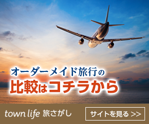 航空会社ランキング19 全100位 World And Aviation